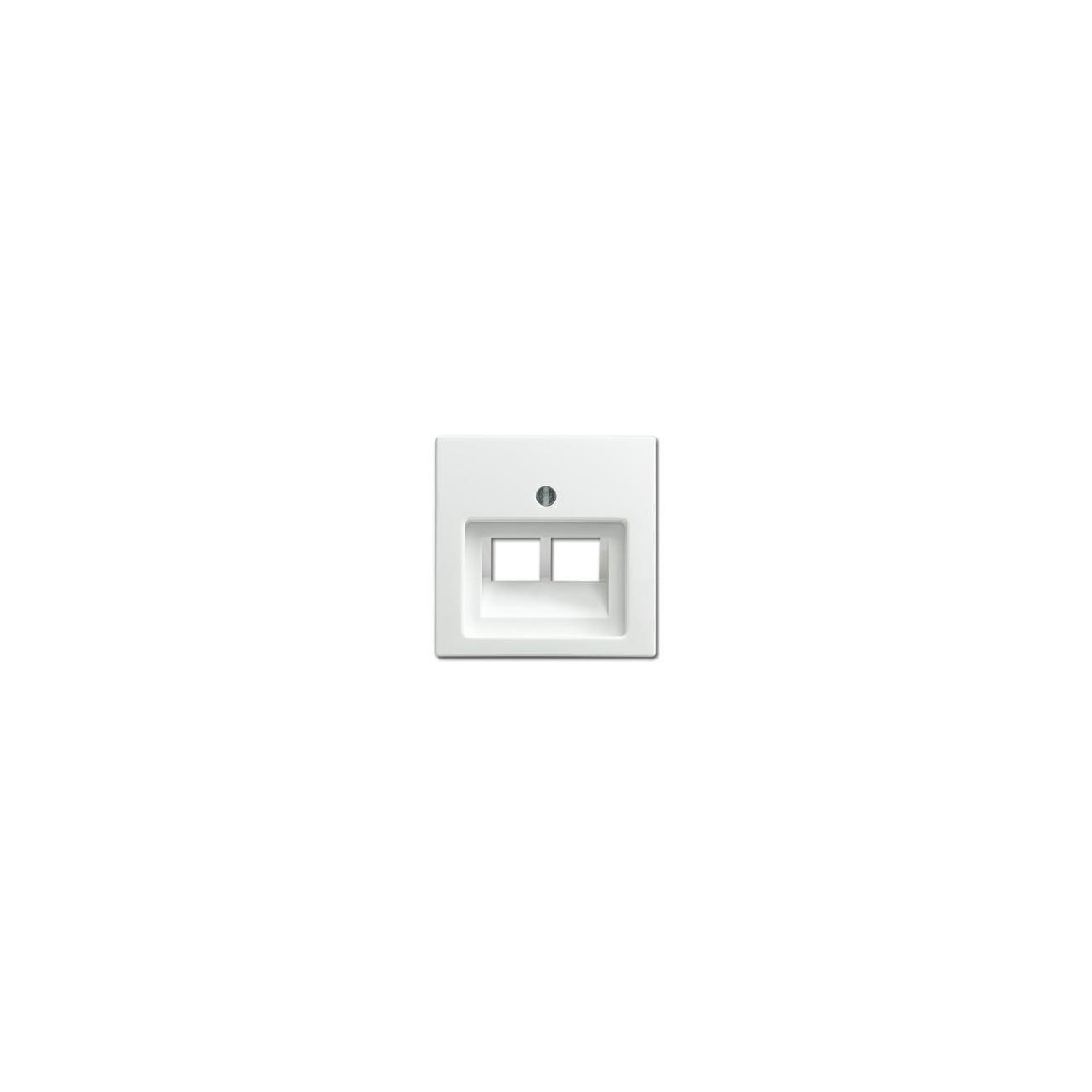 Busch-Jaeger Zentralscheibe Uae/Iae (Isdn) 2-Fach Alpinweiß - Busch-Balance® Si (1803-02-914), 2Cka001753a0226 - Image 6