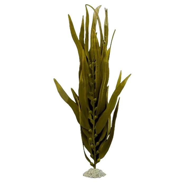 Europet Braun Kelp (Dekoration, Pflanzen), Aquarium Dekoration - Image 3