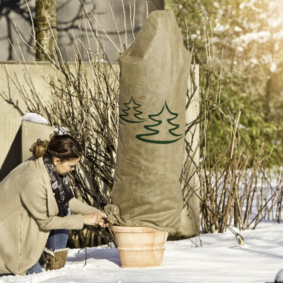 windhager Deko-Haube Protect L 0,6 x 1,8 m, beige mit Tannenmotiv - Image 3
