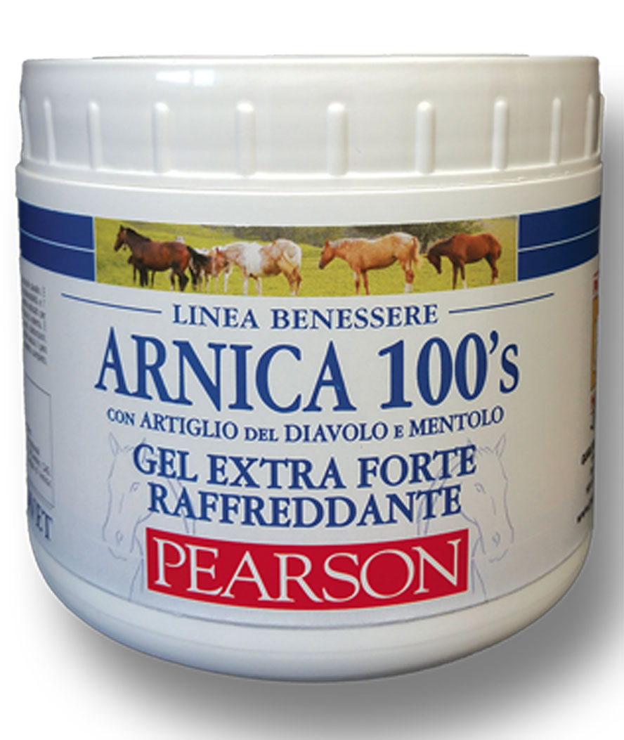 Tattini Weiß Erfrischungsgel Pferd Arnica - Bild 2