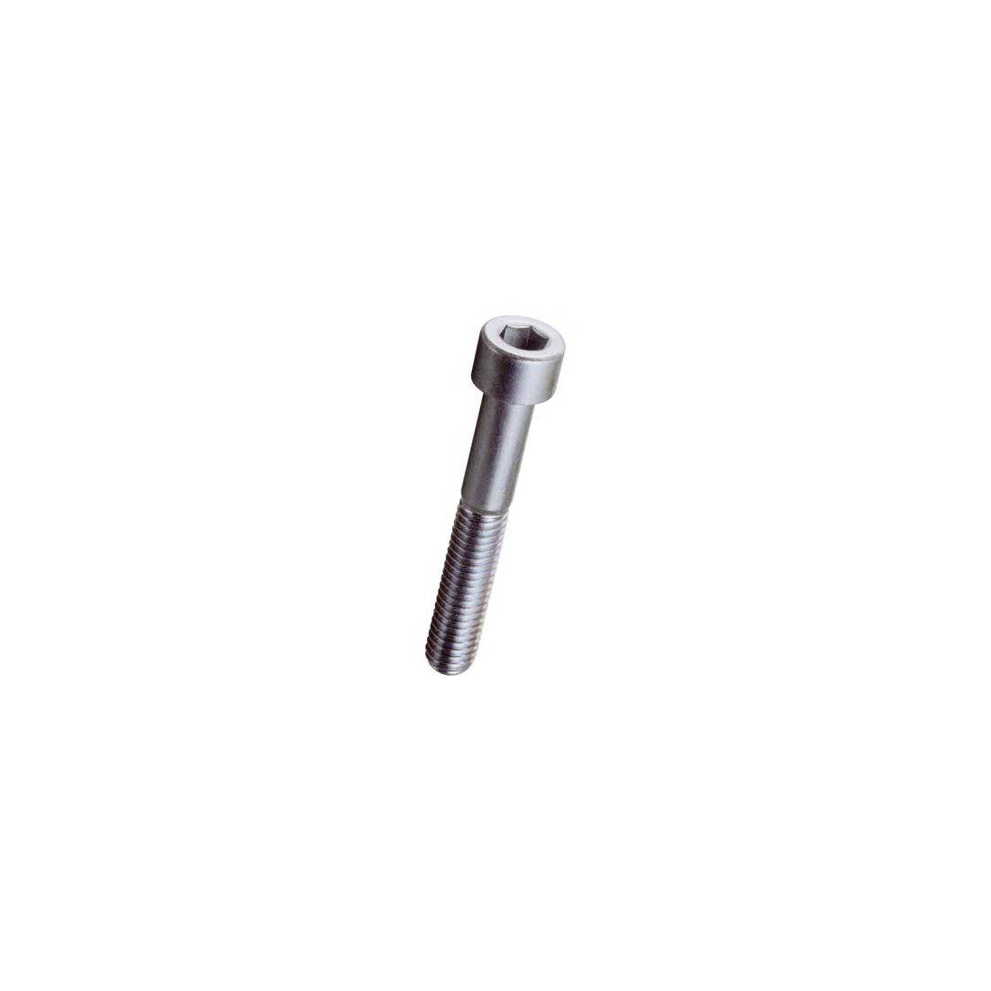 Ambrovit Viti Metallo 8.8 Testa Cilindrica Cava Esagona Parzialmente Filettate Ø Mm.6x70