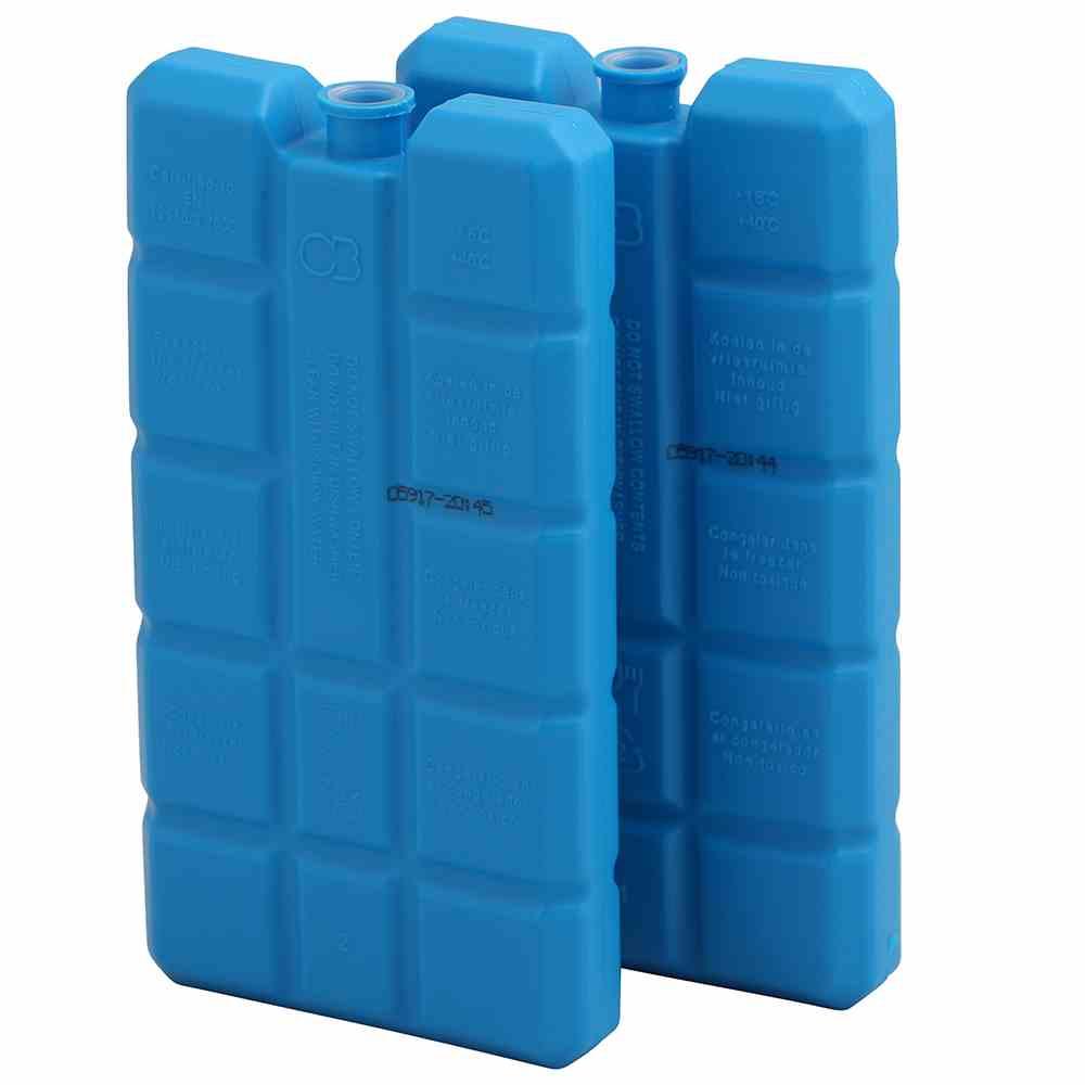 Carpoint Blau Kühlakku 2Er Set 15,5 X 8,5 X 2,4 Cm Kühlboxen