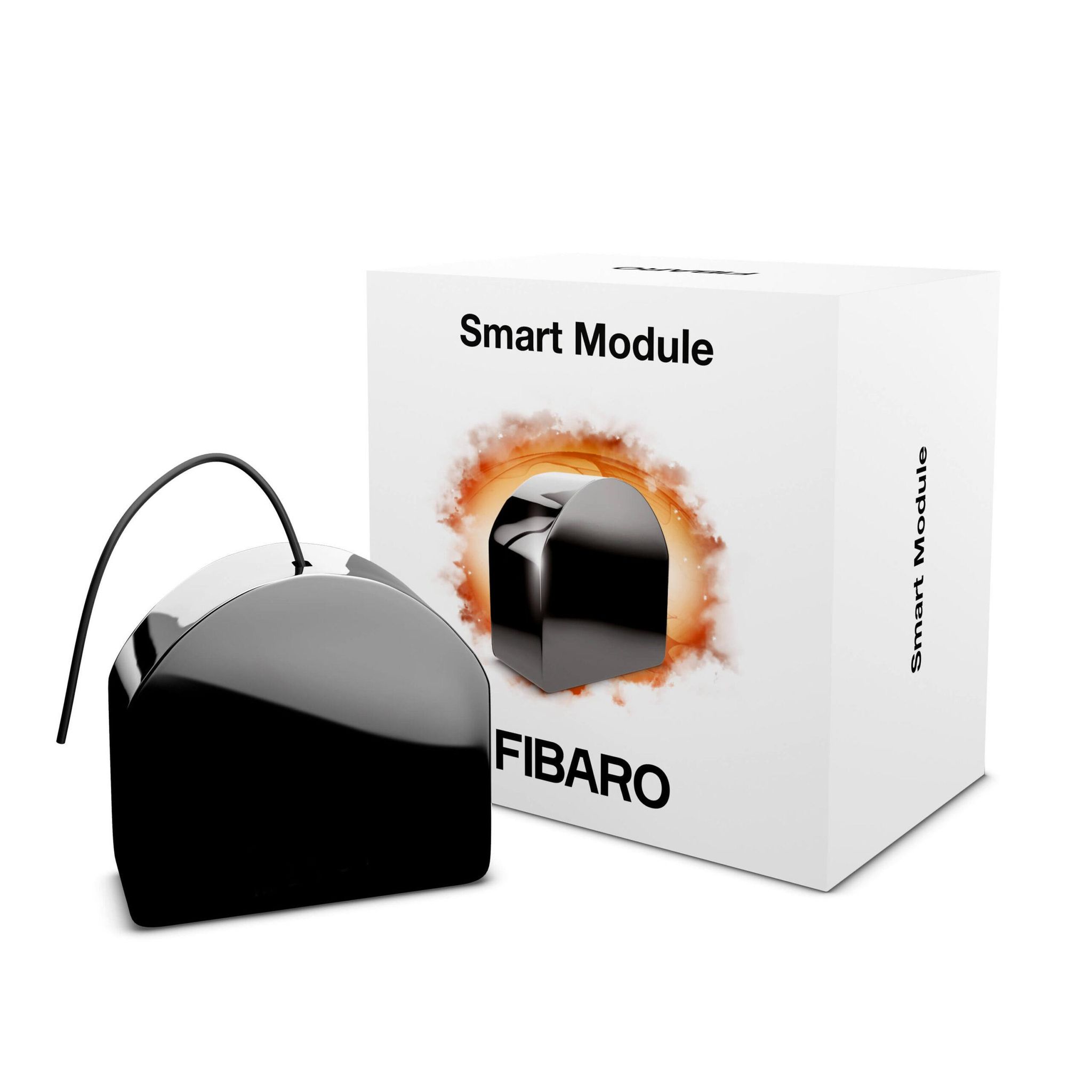 Fibaro Fgs-214 Micro Module, Schwarz