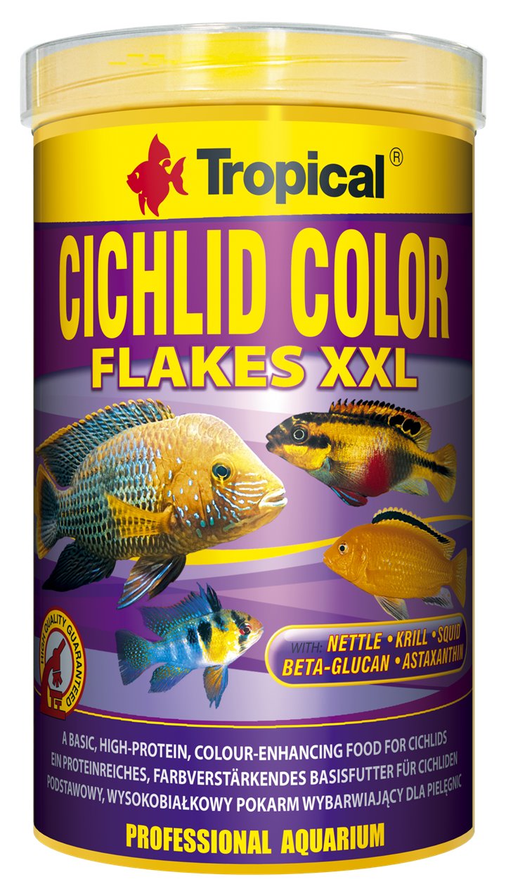 Tropical Cichlid Color XXL - Image 5