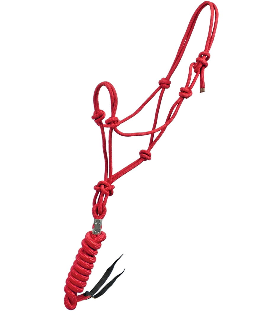 Pool's Braun - Nylon Knotenhalfter Mit Lanyard