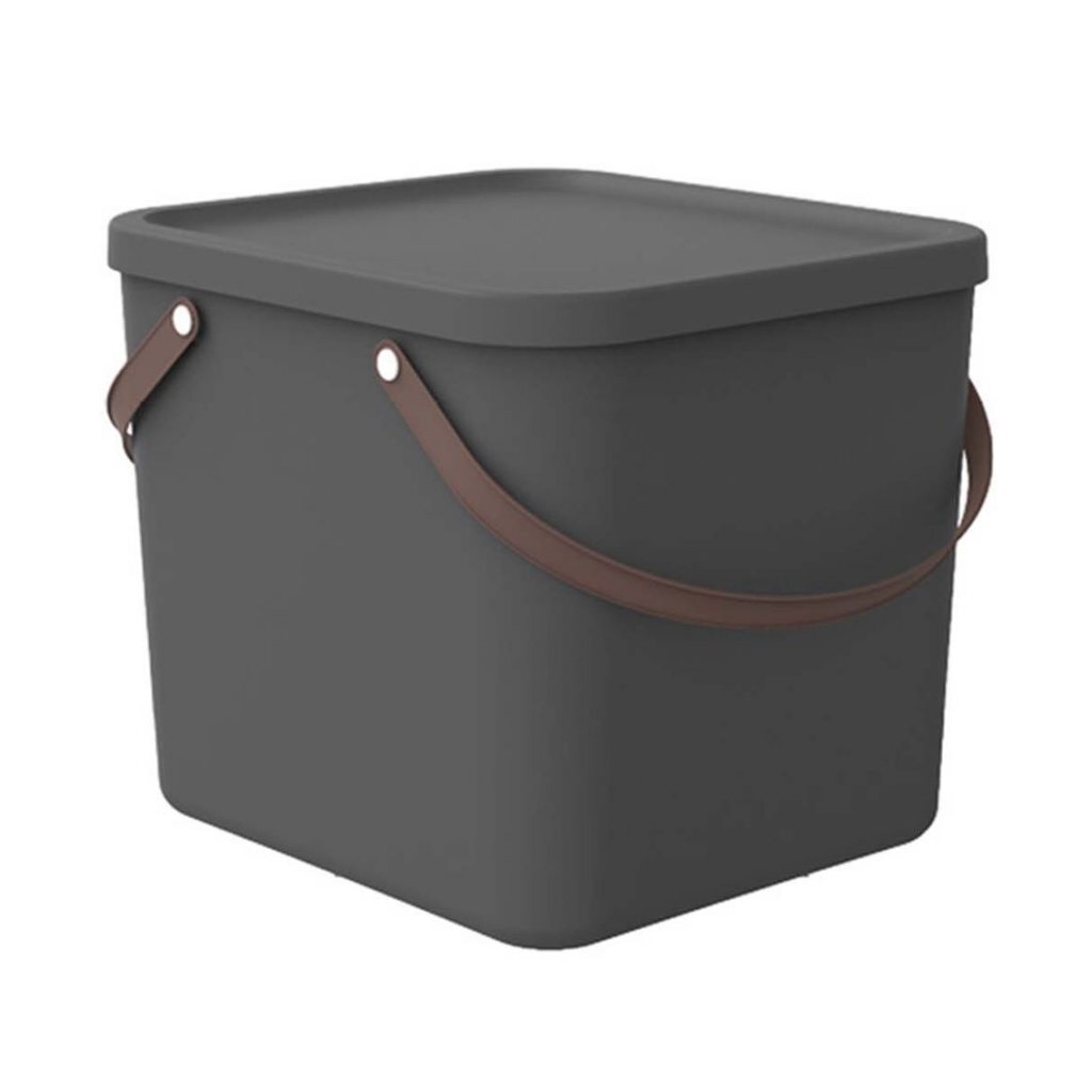 Rotho Anthrazit - Aufbewahrungssystem Albula 40 L Aufbewahrungsbox Mit Deckel
