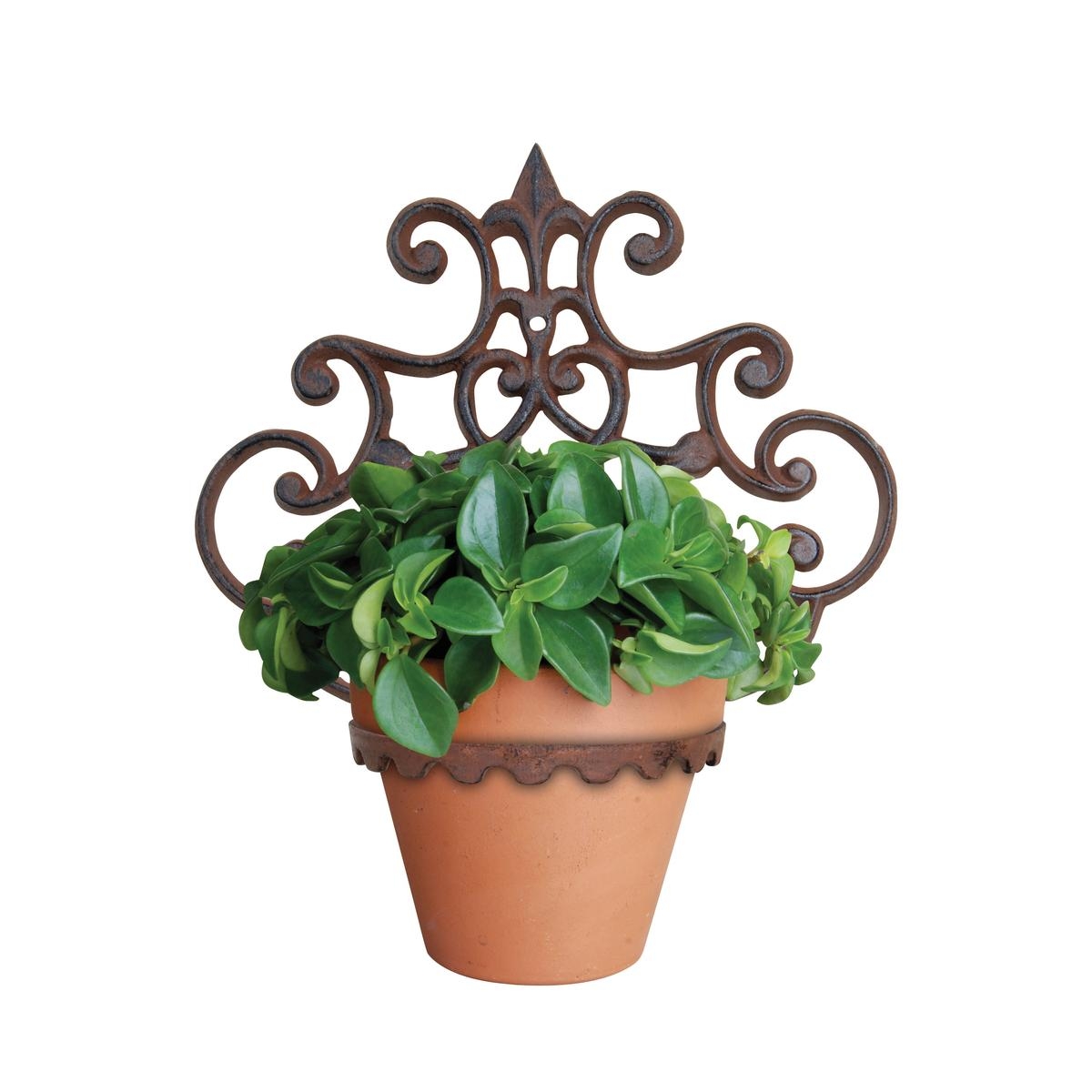 Esschert Design Mehrfarbig Wandblumentopfhalter