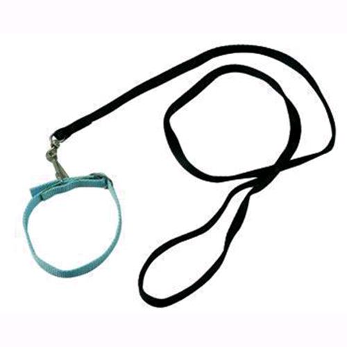 Guinzaglio Per Cani Nylon Blinky C cappio 1,5cm sez 150 Cm