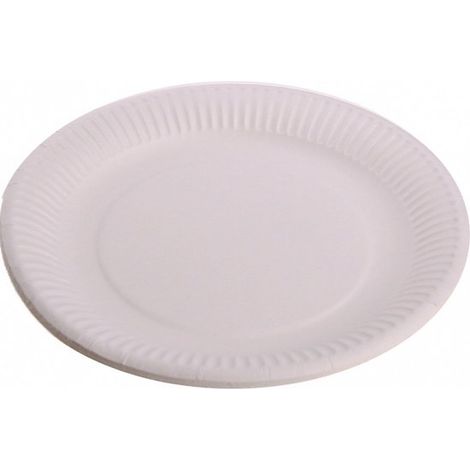 100 weiße Pappteller, 23 cm – Einwegteller – Party-/Geburtstags-/Grillteller