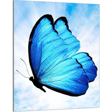 TAGLIERE IN VETRO 40x52 Butterfly (1/5)