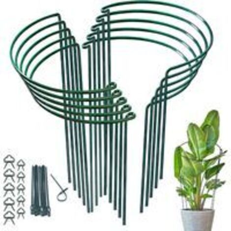 6x Tuteurs Pour Plantes, Piquets Verts Demi-Ronds Support Pour Plantes Support Plante,Aidez Vos Plantes à Pousser - Anneau de Support de Plante Pieux à Hortensias,Pivoines,Plantes Vivaces(25c (1/5)