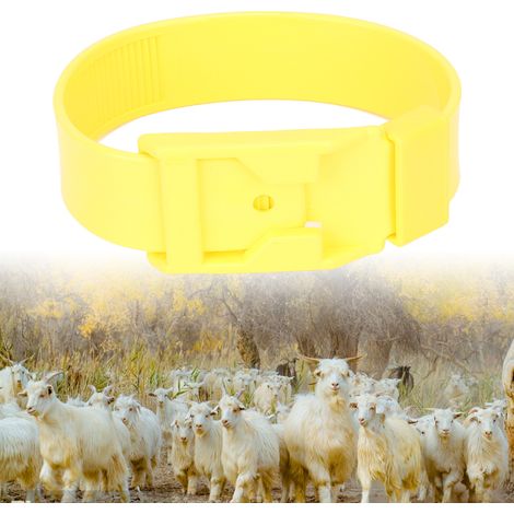 10 colliers de cou pour moutons à vendre, 36 cm, jaunes, avec étiquettes colorées, pattes et embouts en caoutchouc. (1/5)