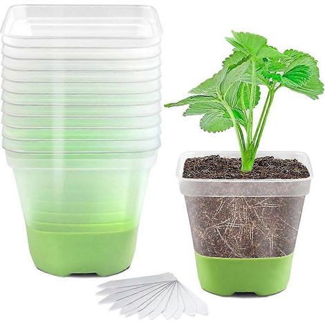 Lot de 12 3 pouce carré plastique chambre bébé pots transparent pot de plante doux silicone base pour Transplant pots (1/5)