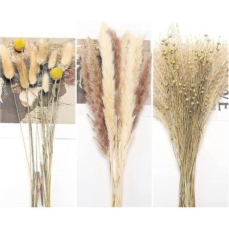 Herbe de la pampa séchée naturelle de 45 cm pour un mariage bohème, une chambre ou une décoration intérieure (1/5)