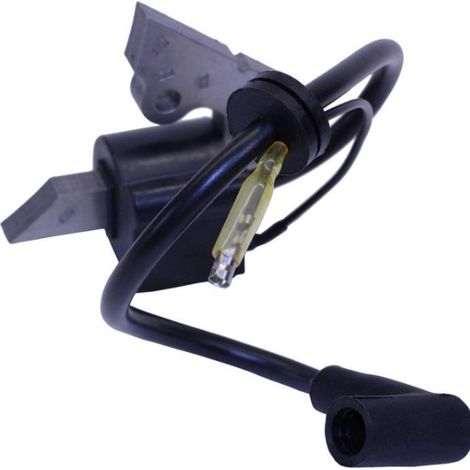 Accessories for tondeuse à gazon EY15 3.5 ch modified in EY20 RGX2400 167 (1/4)