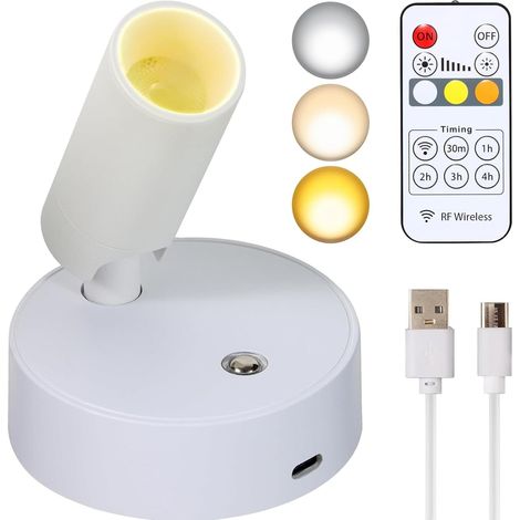 1 Spot LED Rechargeable USB,Télécommande,3 Températures Couleur,Intensité Variable,Minuterie,Art Plantes Intérieur (1/5)