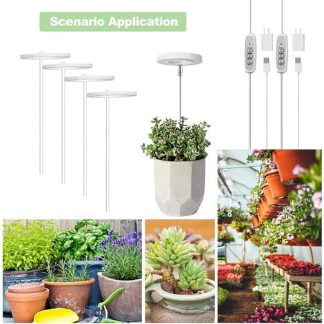 Lampe LED à spectre complet pour d'intérieur, lampe de à spectre complet avec interrupteur et port de charge USB pour serre de jardin (1/4)