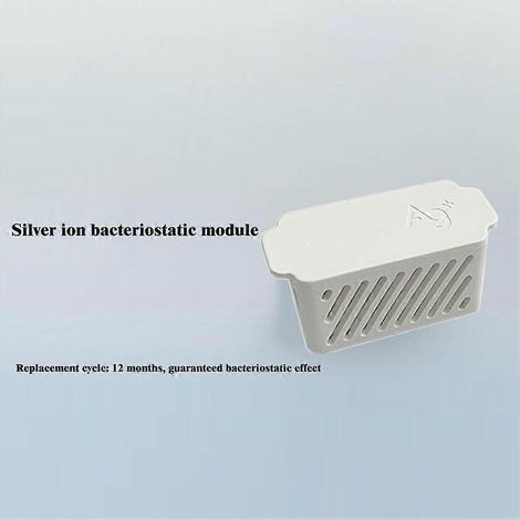 Module bactériostatique aux ions d'argent Roborock S8 Pro Ultra pour S7 Pro Ultra/S7 MaxV Ultra /G10S Pro/P10/G10S Pure/S8+/S8 (1/5)