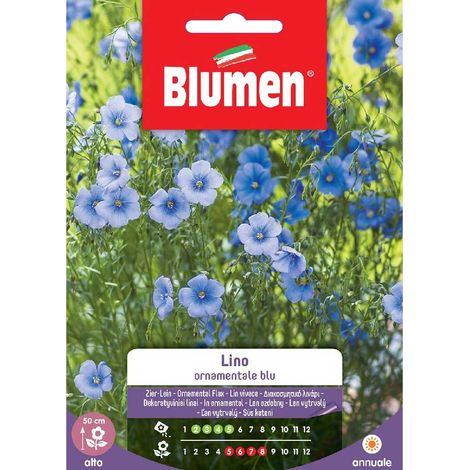 SEMI LINO ORNAMENTALE BLU BLUMEN
