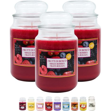 Candele profumate in vetro giara da 510 grammi - 3 giare grandi - Profumazione Frutti di Bosco (1/5)