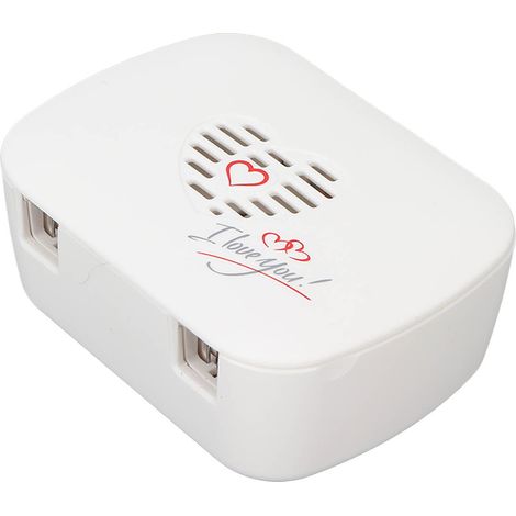 Support mural USB pour nettoyeur de brosses à dents UV, 2 emplacements, charge rapide, porte-brosses de salle de bain, étui hygiénique (1/5)
