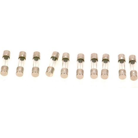 BOSCH Fusible (10x) T1,6A, 19045227400
