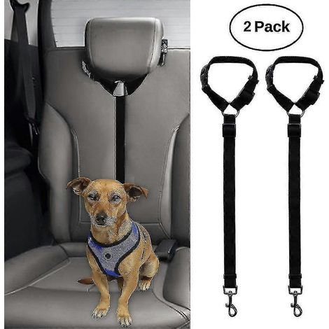 Laisse robuste pour chien avec poignée confortable en forme de coussinet, lot de 2, noire (1/5)