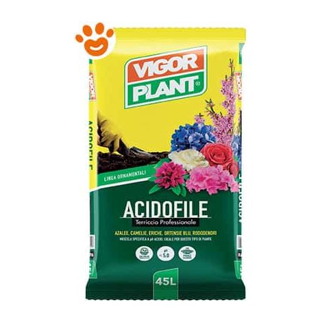 Vigorplant Ornamentali Terriccio per Acidofile - Sacco 70 Lt -