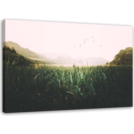 Tableau déco Herbe Oiseaux Montagne Vert 60x40 (1/5)