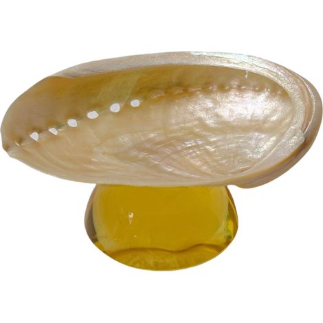 Verre à vin à pied en coquillage naturel, verre artistique en coquillage irrégulier, décoration intérieure.