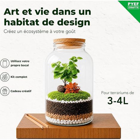 Kit Terrarium Plante - Kit pour la Création de Jardin en Bouteille - Set pour Faire Pousser - sans la Plante (sans Verre, XL) (1/2)