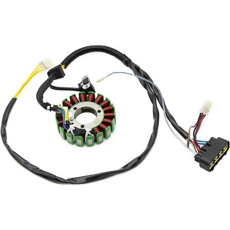 Bobine de stator de générateur de moto pour 500-- (1/5)