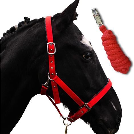 rotes, gestricktes Pferdehalfter, strapazierfähiges Nylon, verstellbare Schnallen, für Stall und Weide (1/5)