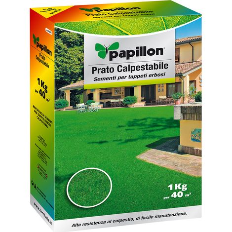 Hochresistente Grassamen 1 Kg.