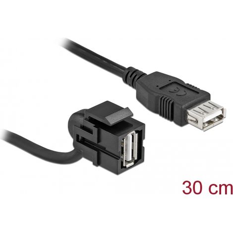 Delock MÃ³dulo Keystone USB 2.0 A hembra 110Â°  USB 2.0 A hembra con cable negro