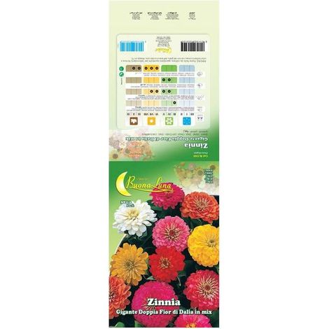 10 x SEMI GARDEN ZINNIA GIGANTE