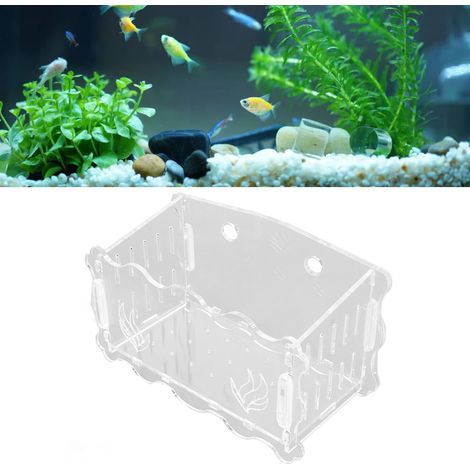 Support De Culture Pour Plantes Aquatiques Taille Moyenne Avec Ventouse - Idéal Pour L'Aquascaping Et La Décoration Des Aquariums-AUTRES (1/5)