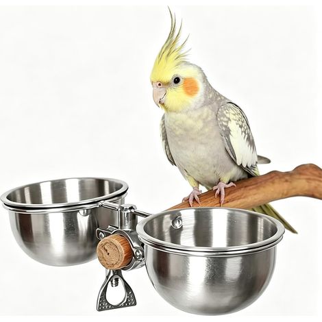 Gamelles pour perroquets en acier inoxydable anti-bascule avec clip de verrouillage, abreuvoirs pour oiseaux non toxiques, mangeoire suspendue pour oiseaux (perruches, calopsittes, conures, aras)