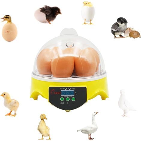 Couveuse à Oeufs 7 Oeufs Incubateur Contrôle de la Température de la Couveuse à Poussins avec écran Digital LED Couveuse pour Poulets, Cailles, Canards, Oies, Volailles (1/5)
