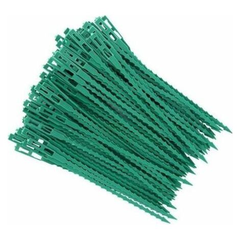 Lot de 100 tuteurs pour tomates et autres plantes, avec attaches et clips de fixation réglables en plastique (23 cm), pour le jardinage amateur.