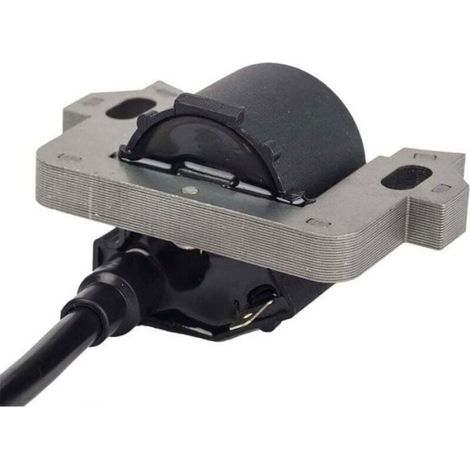 Module de bobine d'allumage - - Compatible Honda GCV135 - Compatible Honda GCV160 - Compatible Honda GCV190 (1/4)