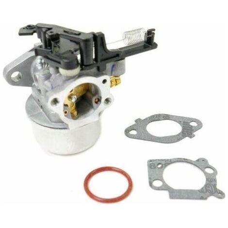 Carburateur moteur Briggs & Stratton 591137 (1/4)
