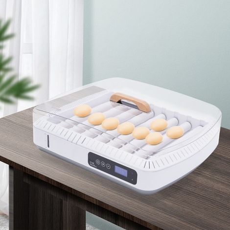 35 Egg Digital Incubator Temperature Control Turning Chicken Hatcher Automatic (1/5)