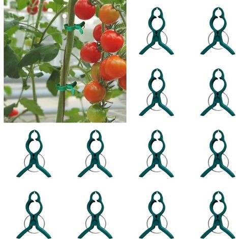 Lot de 12 clips pour plantes — Clips de jardinage en plastique, clips de support et clips pour plantes grimpantes, pour fixer tiges et lianes (Vert, Grand modèle) (1/3)