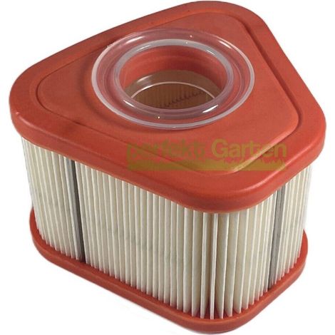 filtre à air pour moteurs Briggs & Stratton B&S 800EXi 125P02 125P42 125P47 / 597265 (1/4)