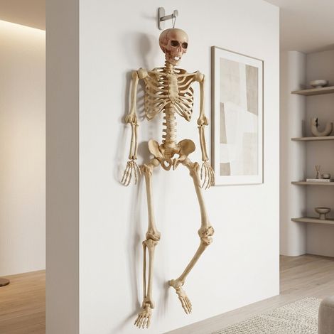 5ft Posable Halloween Skeleton Figure (1/2)