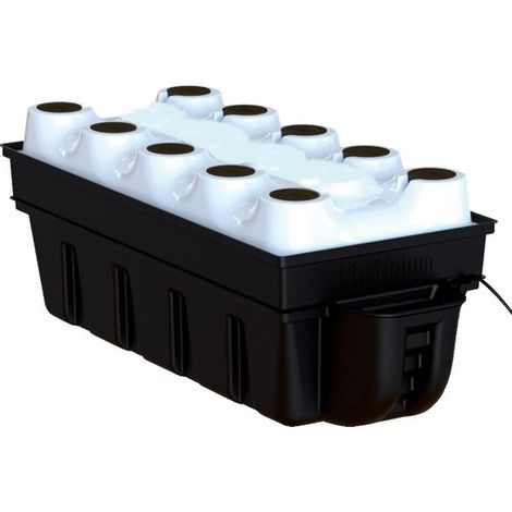 Système aéroponique - Aerotop 40x90cm - 10 plantes - Platinium Hydroponics (1/2)