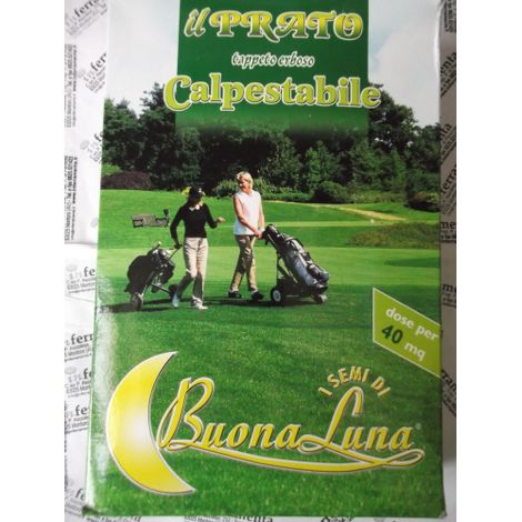 Graines de pelouse Hortus Buona Luna 1 kg – Résistantes au piétinement, à la sécheresse et à l'ombre – Germination rapide pour jardins