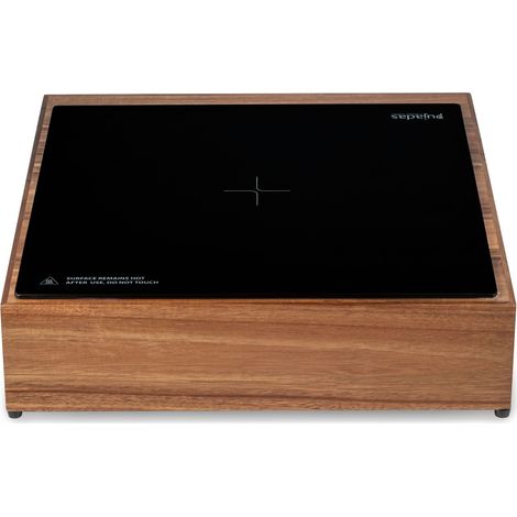 Station Maintien Température Induction Nova 1000 W - Pujadas