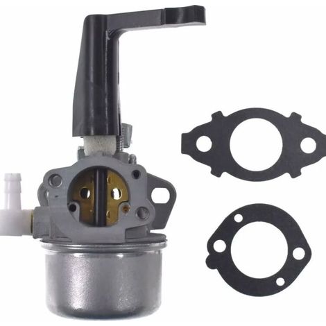 696065 Carburateur de remplacement avec kit de joint pour Briggs & Stratton Carburateur Carburateur (1/5)